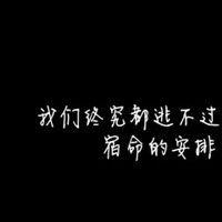 wzk0402